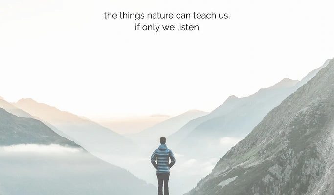 Lessons from Nature